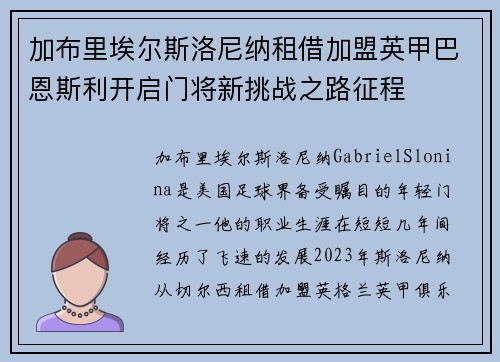 加布里埃尔斯洛尼纳租借加盟英甲巴恩斯利开启门将新挑战之路征程